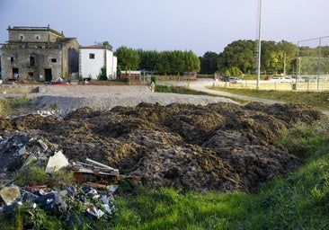 ¿Qué dicen los expertos de la llegada y el recorrido de las algas invasoras de Noja?