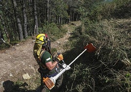 Un miembro de las BRIF de Ruente realiza tareas de desbroce.