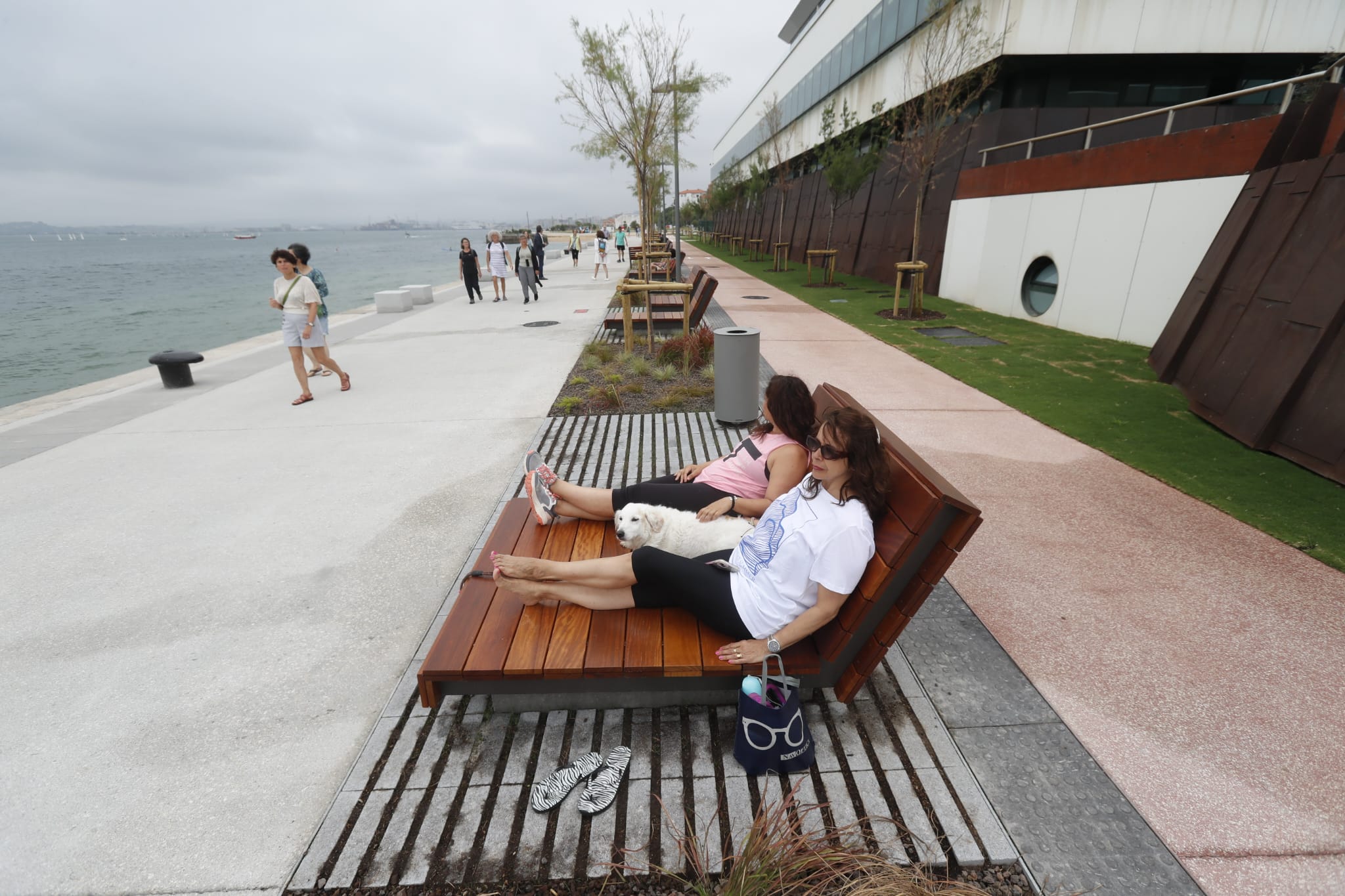 Personas y mascotas disfrutan de las nuevas hamacas con vistas a la bahía. 
