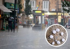 En la foto, la tormenta descarga sobre Torrelavega y en el video se ve la granizada en Bezana.