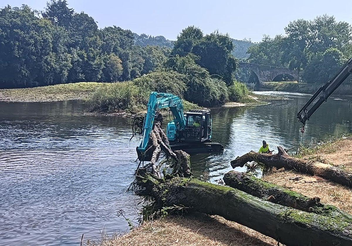 Una máquina retira los troncos varados en el cauce desde hace años.