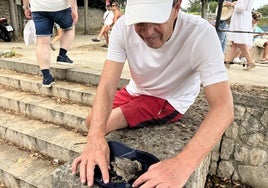 El autillo europeo herido, en el interior de una gorra.