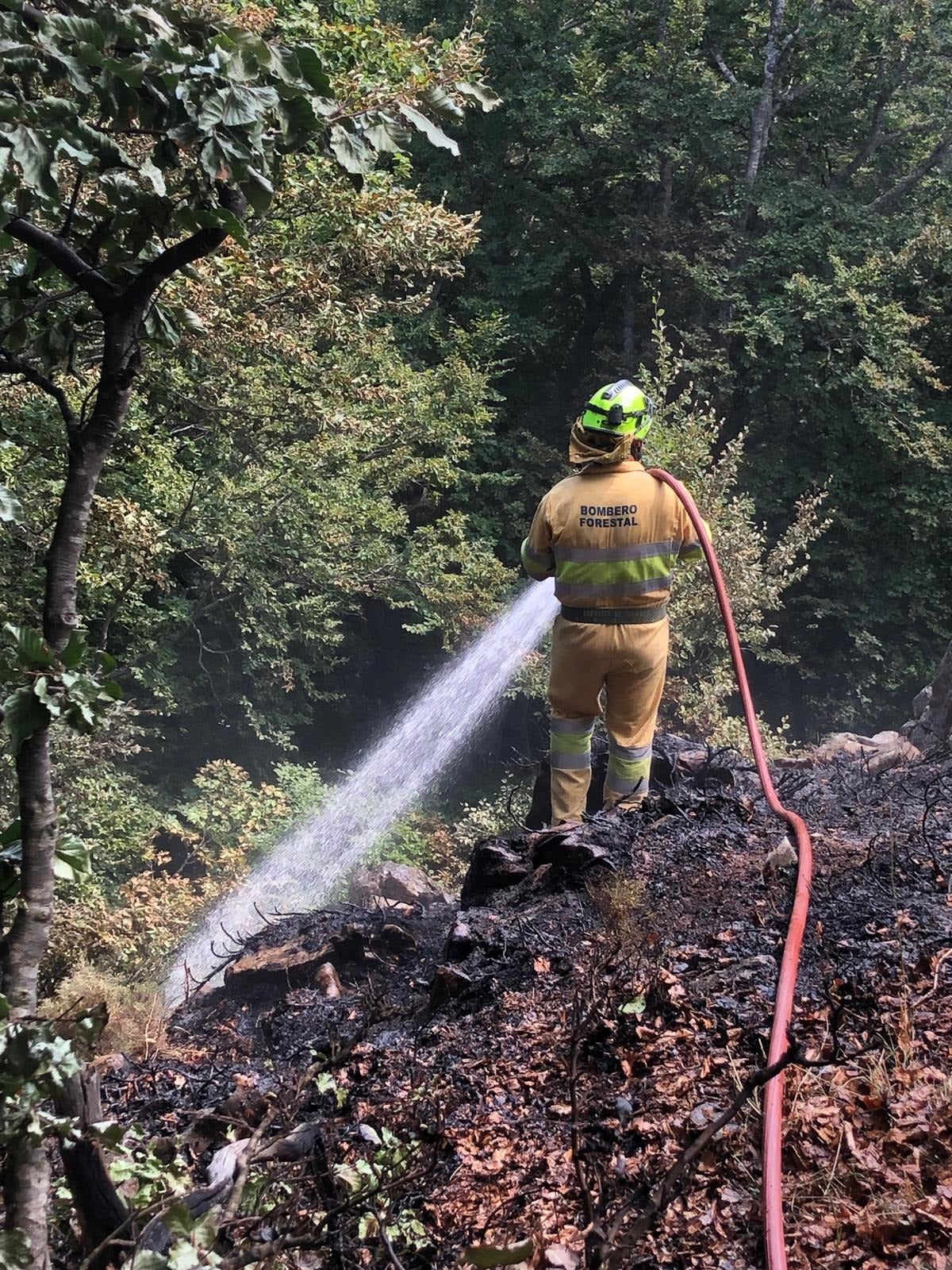 En el área de Remoña colabora personal cántabro en las labores de extinción.