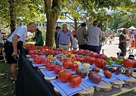 Ejemplares con una pinta estupenda sobre una de las mesas de exposición