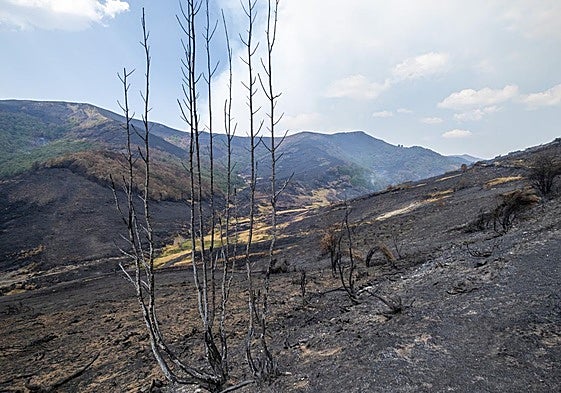 Columnas de humo se elevan en algunos puntos del valle, con la tierra aún caliente y cientos de hectáreas quemadas por el fuego.