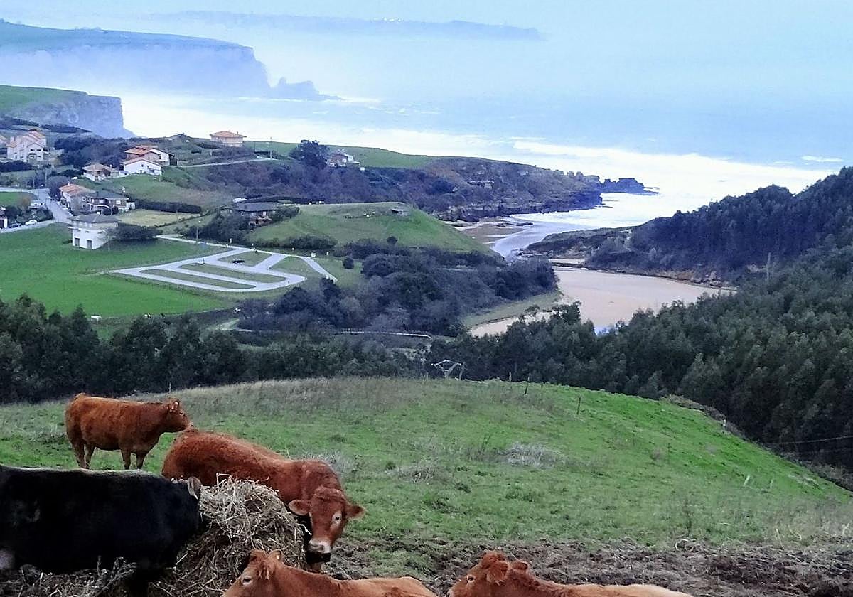 La playa de Galizano al fondo.