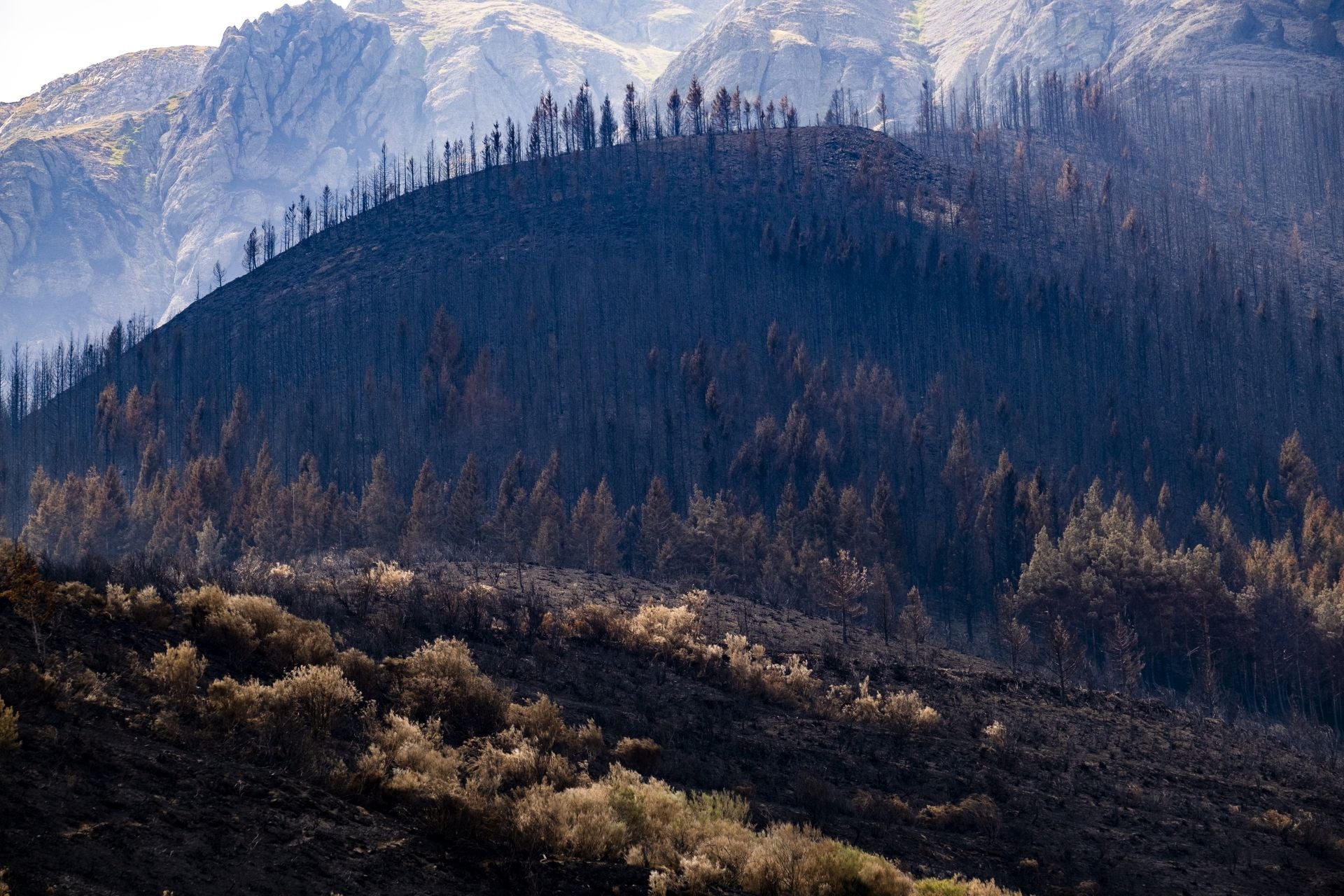 Las zonas montañosas rocosas han servido como barrera natural para evitar que el fuego se propagase. 