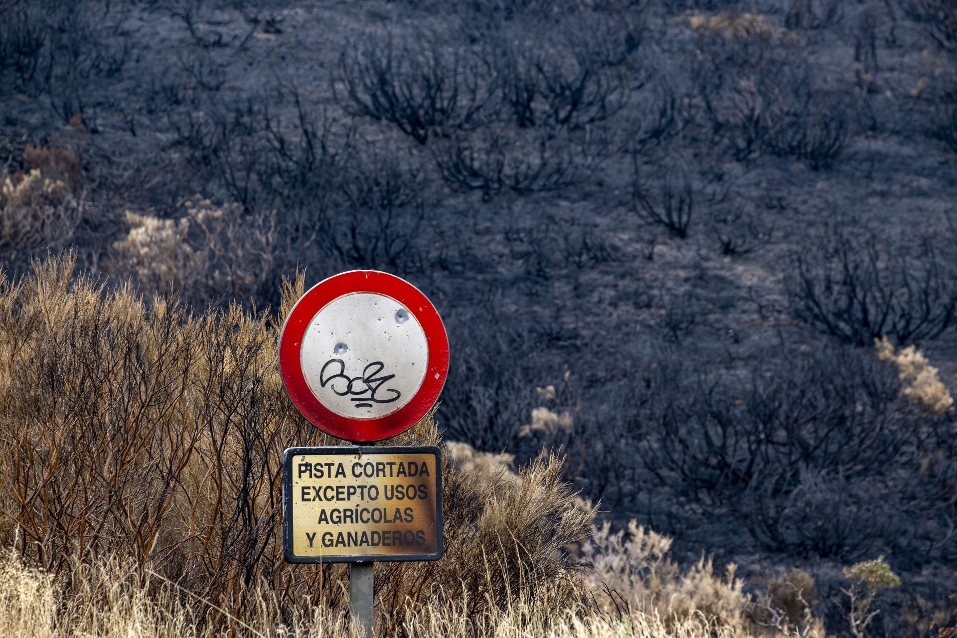 Las señales de tráfico han sido igualmente pasto de las llamas. 