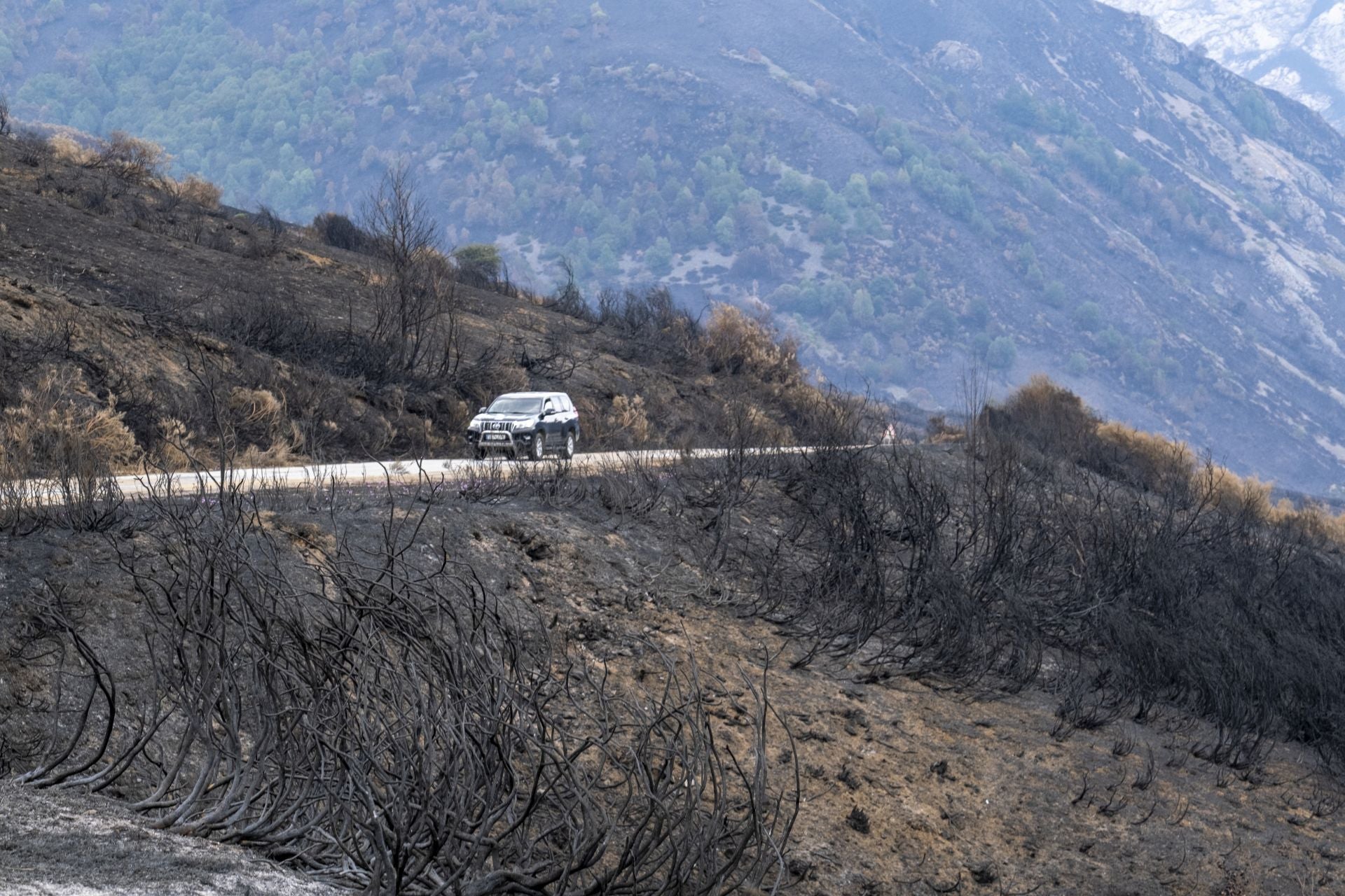 Las zonas verdes que se han salvado contrastan con el desolador paisaje quemado. 