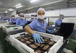 El trabajo femenino es mayoritario en una conservera como Consorcio.