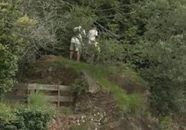 Los visitantes que se colaron en una de las zonas restringidas del recinto de los lobos.