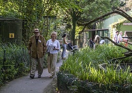 José Ignacio Pardo de Santayana y su mujer, Maribel Angulo, pasean por el Zoo de Santillana.