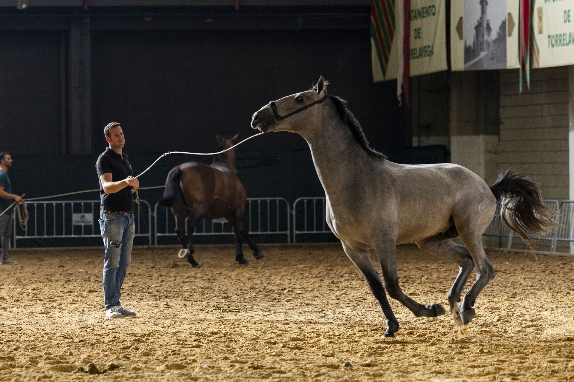 El Concurso Morfológico durará toda la semana y la entrada al público es gratuita.