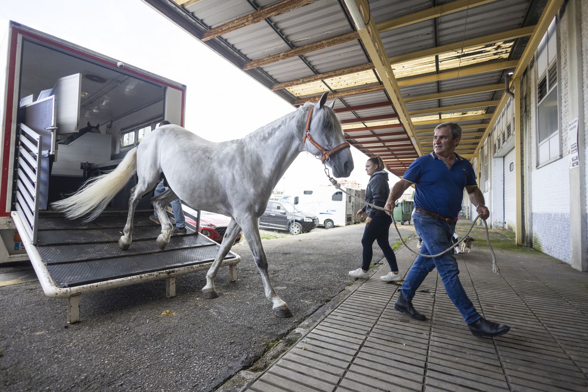 Un caballo desmontando del camión y accediendo al recinto ferial.
