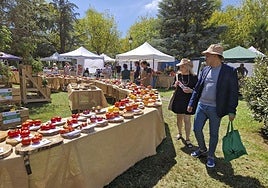 El evento contó con una amplia variedad de tomates que se expusieron al público.