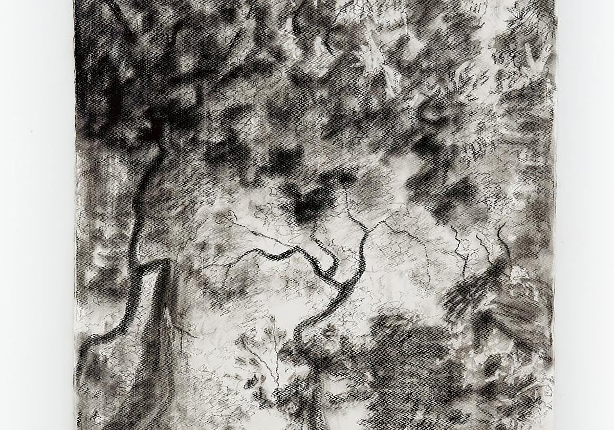 'Claros del Bosque IV'.