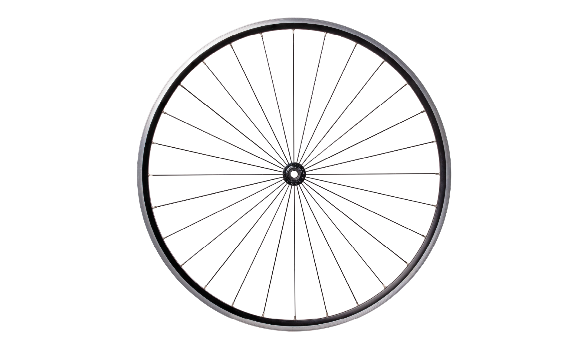 Scroll Story imagen 0