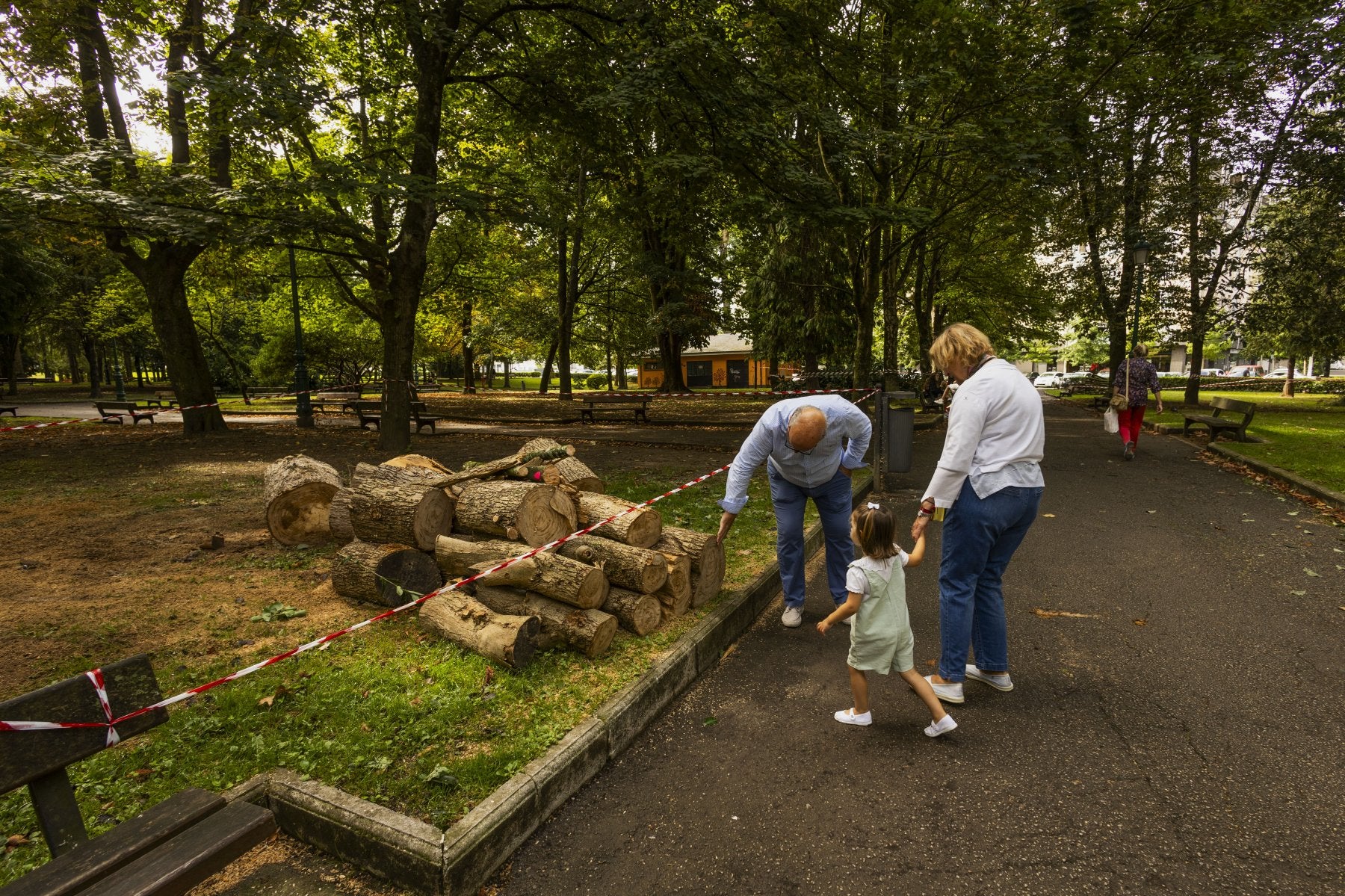 Una familia se interesa por los troncos apilados como resultado de los trabajos, ayer, en el parque Manuel Barquín de Torrelavega.