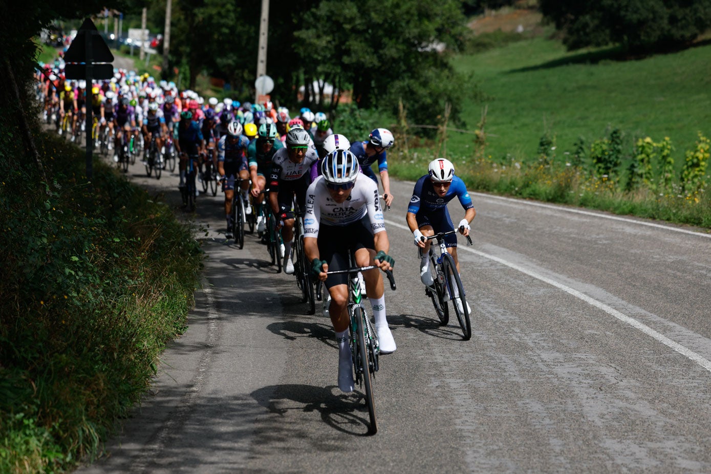El grueso del pelotón, en la bajada de Alisas. 