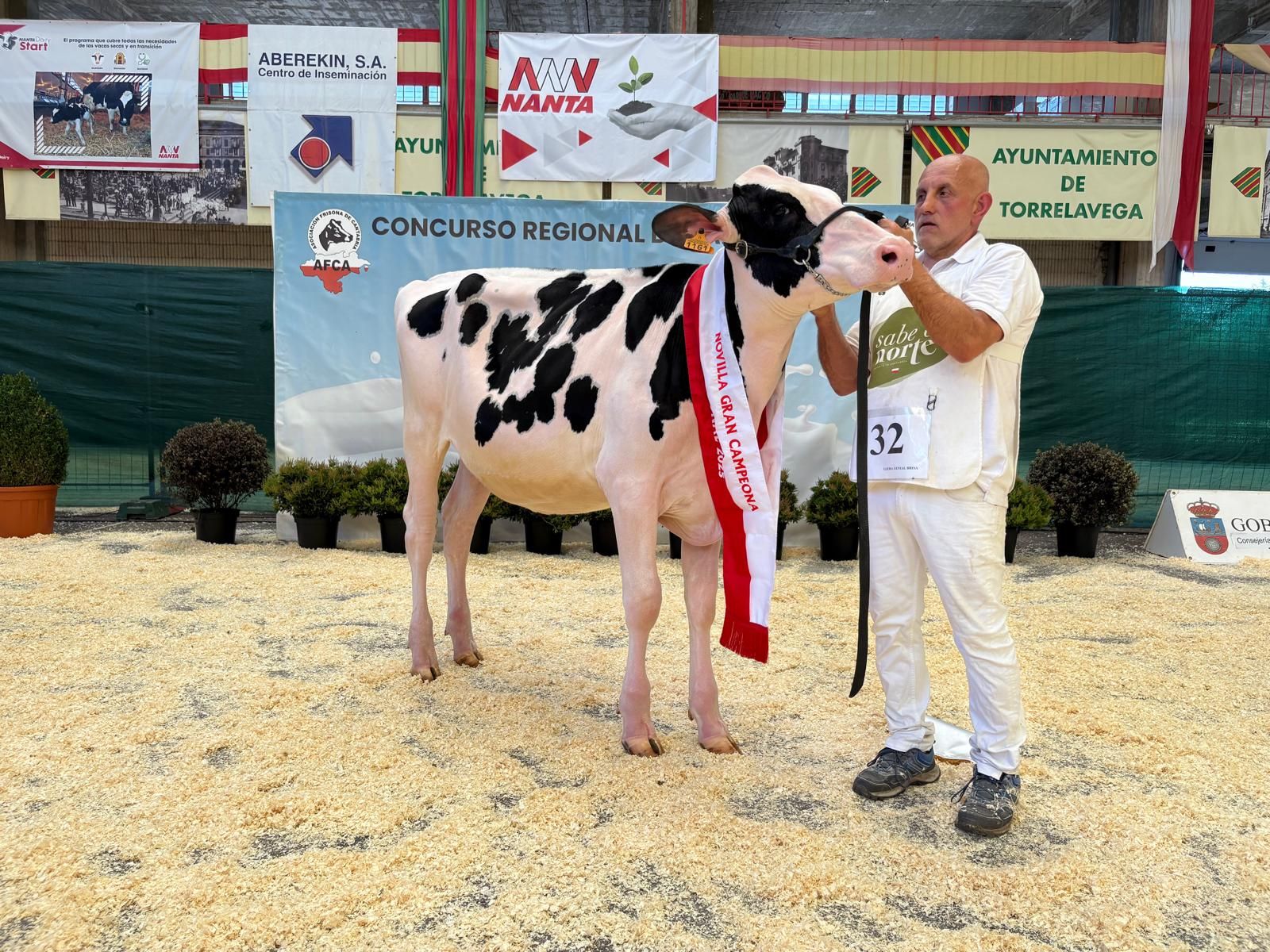 Novilla Gran Campeona. Cudaña Aply Delta-Lambda ET