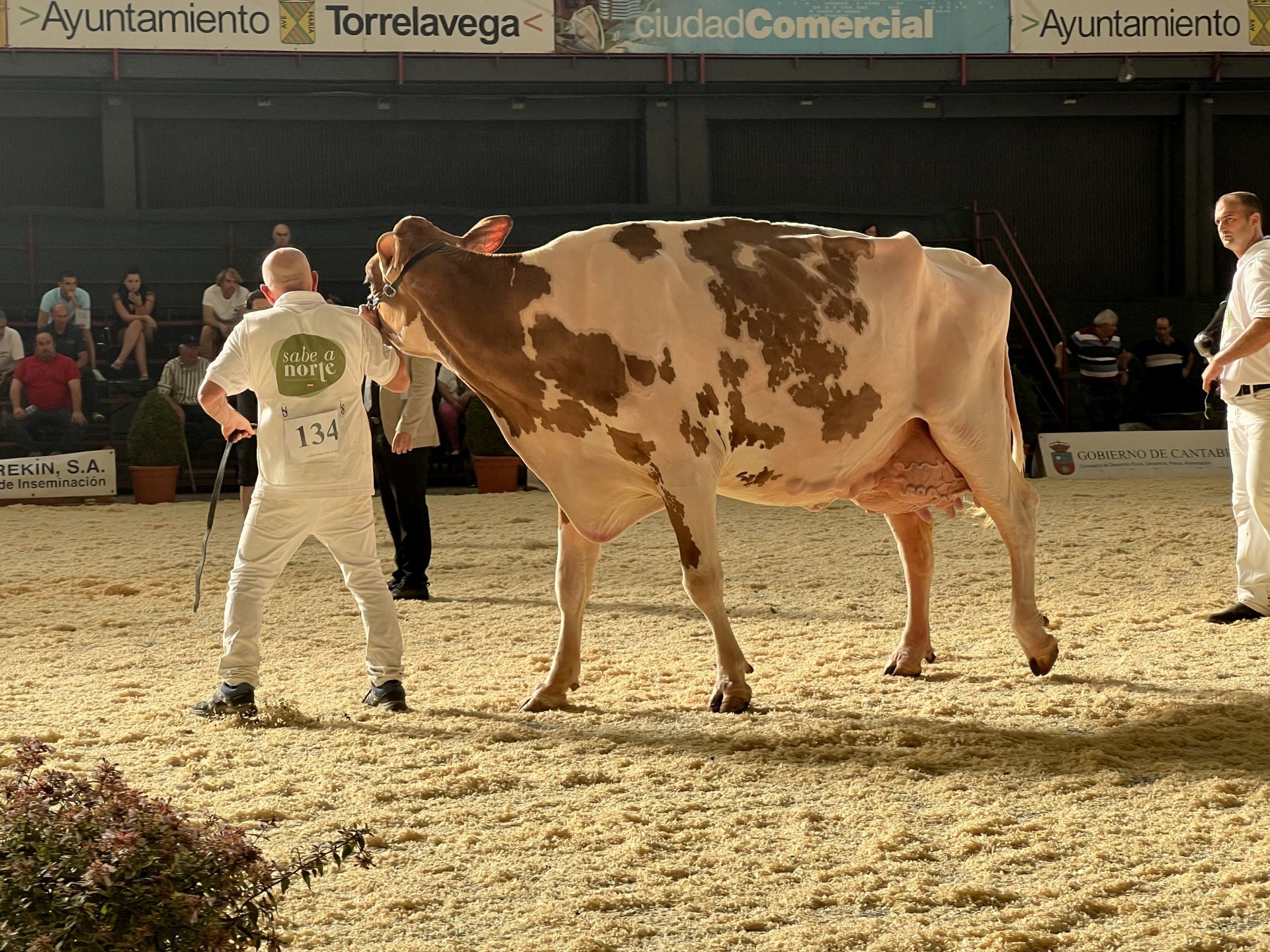 Llera Jotdy Oscar Roja ET, de Llera Her S.C. ganó la categoría de Vaca adulta lactación seis años o más con menos de 60.000 kg y fue la reserva, es decir la segunda clasificada tras la Vaca Gran Campeona.