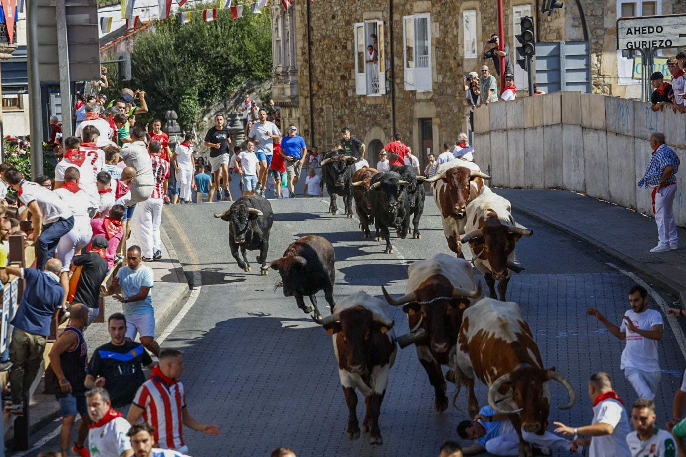 La manada sobre el puente en la carrera de ida.