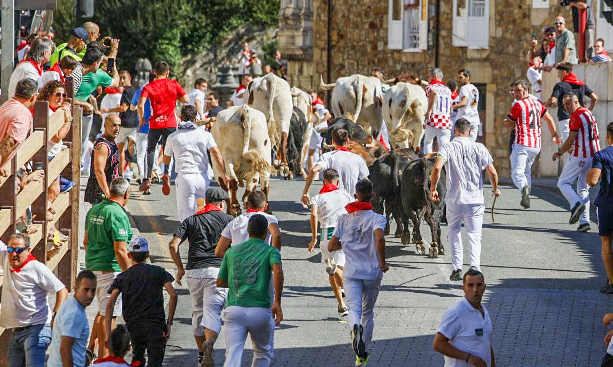 Los bueyes encabezaron el regreso a La Nogalera.