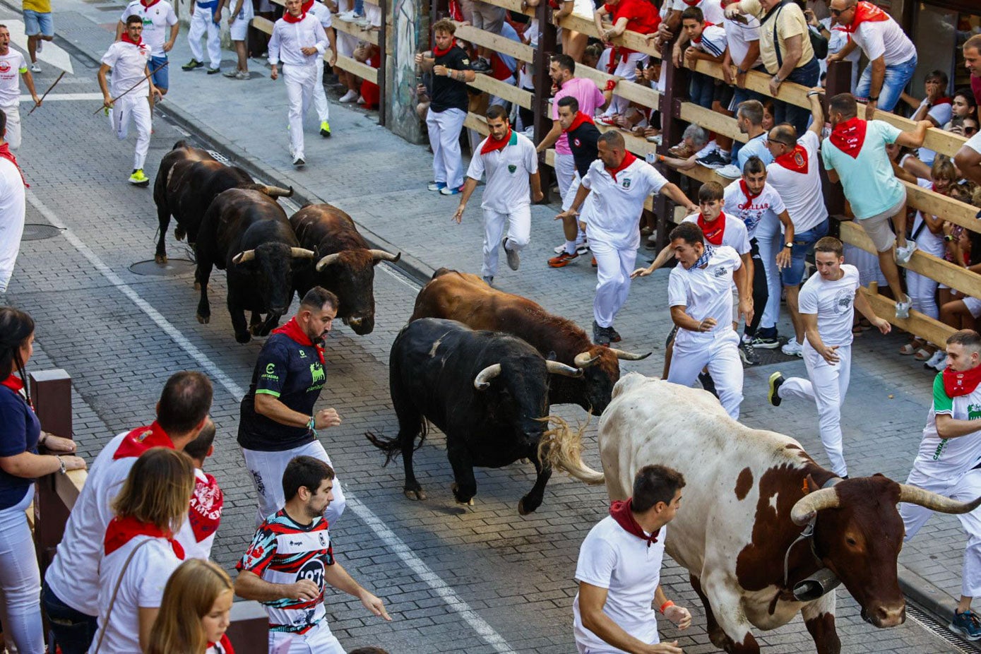 Corredores buscando hueco entre las astas.