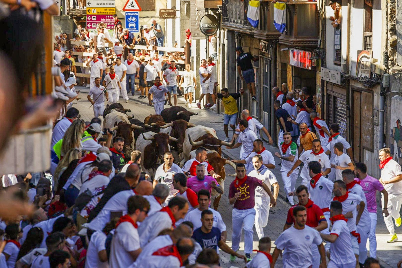 Vuelta de los once animales hacia la plaza de toros.