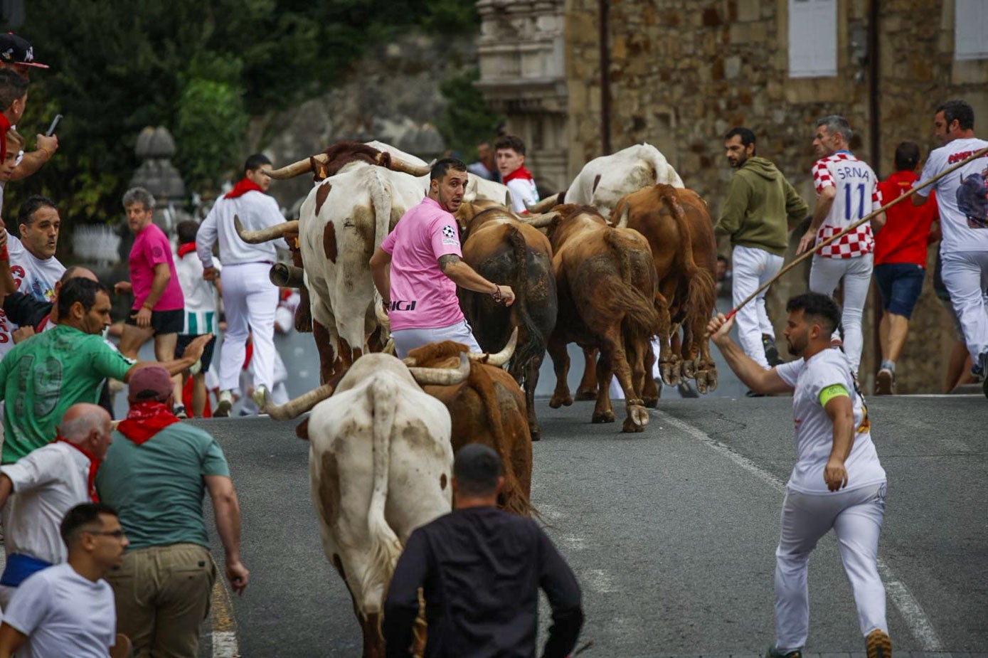 El alavés Julen Ordóñez metido entre la manada. 