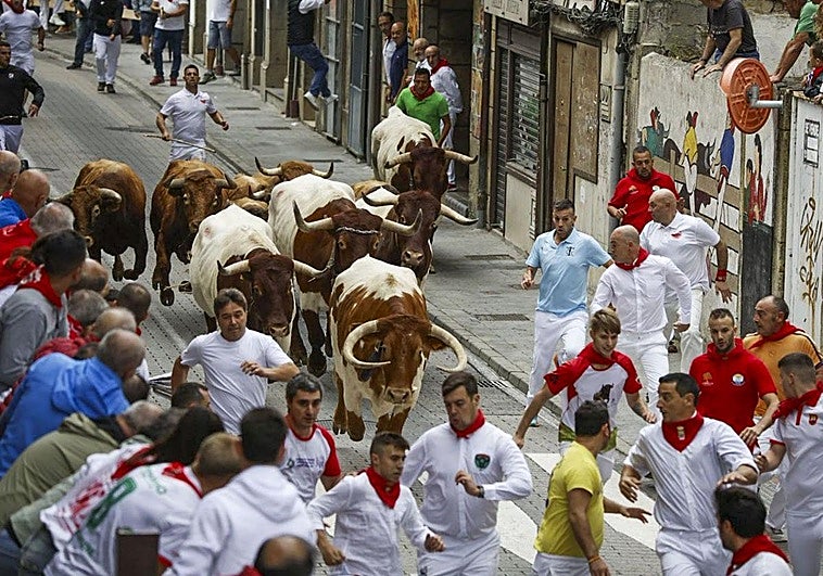 Los mozos corren delante de los toros de la ganadería navarra de Reta.