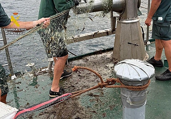 Nasas ilegales halladas en la operación.