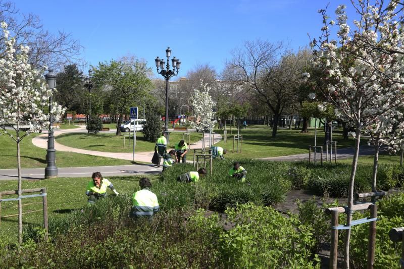 El parque de la Marga es uno de los jardines urbanos en los que se sembrarán las semillas recolectadas.