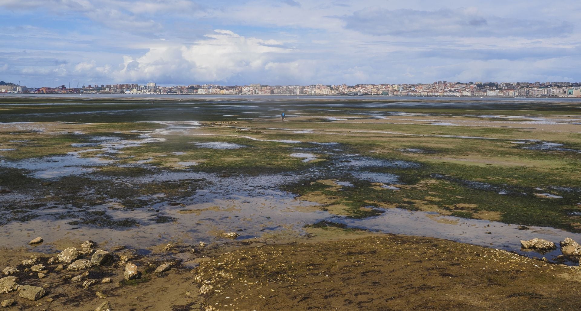 El mar ha dejado al descubierto gran parte de la superficie de la bahía santanderina. Los mariscadores no han perdido la ocasión para realizar su faena habitual.