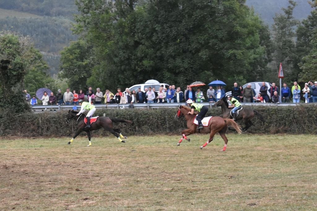 Salida en velocidad de la carrera de purasangres.
