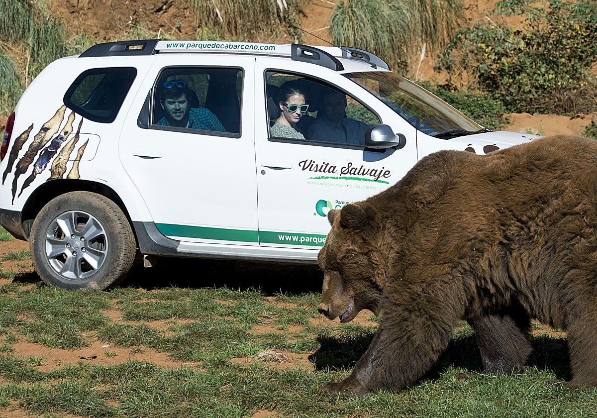 Vehículo de Cantur en el parque de Cabárceno.