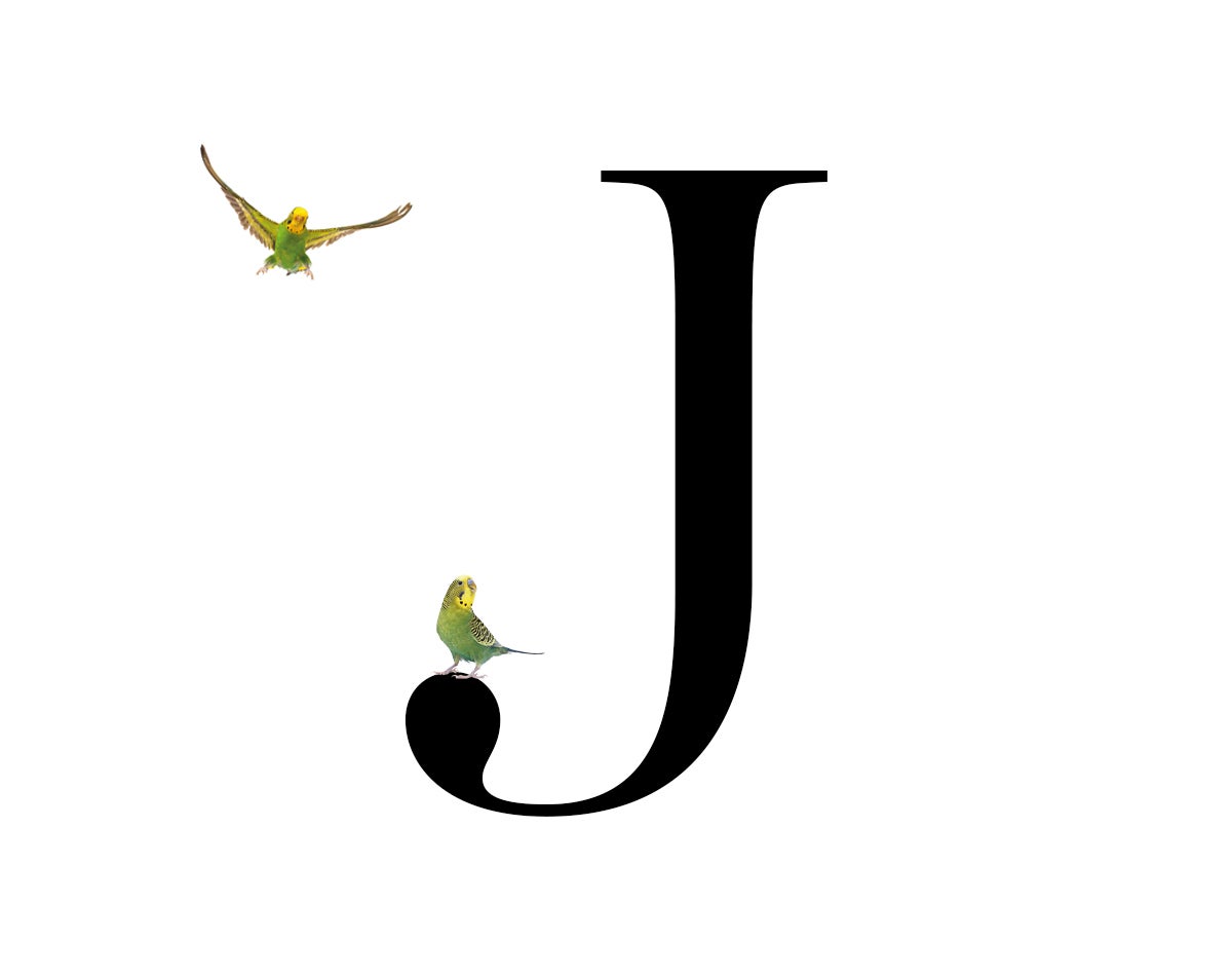 Juan V. Navarro Baldeweg en el mirador de los periquitos de Australia