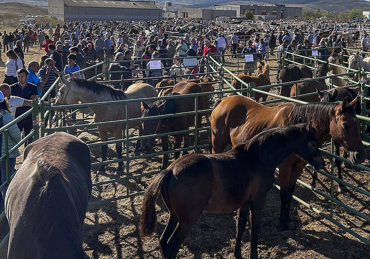 Imagen de la feria en 2023