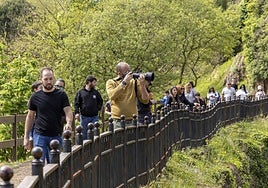 Un fotógrafo capta una imagen del parque de Cabárceno.