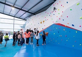 Actividad de escalada desarrollada en el rocódromo de Requejada.