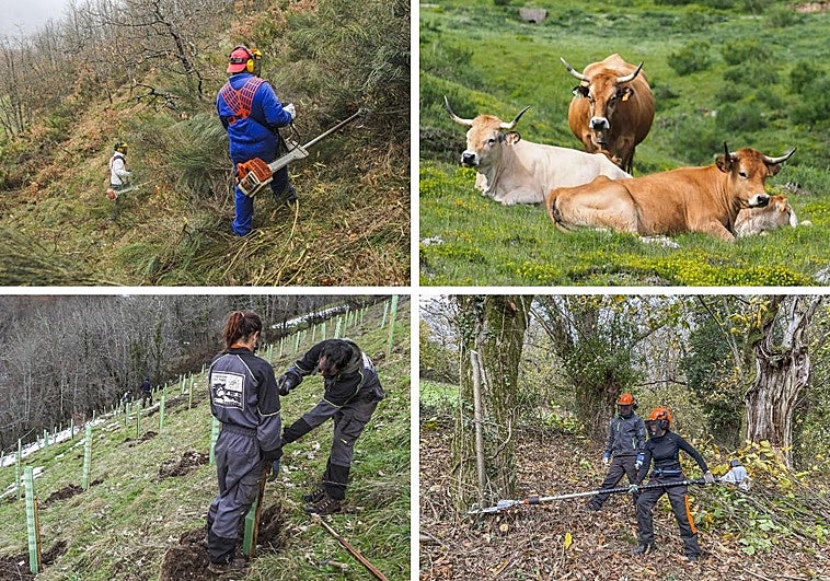 El mundo rural, pilar de la lucha contra el fuego