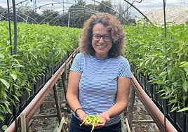 Arancha Álvarez Prieto, mostrando algunas de las piparras que su familia cultiva y produce en Soto de la Marina.