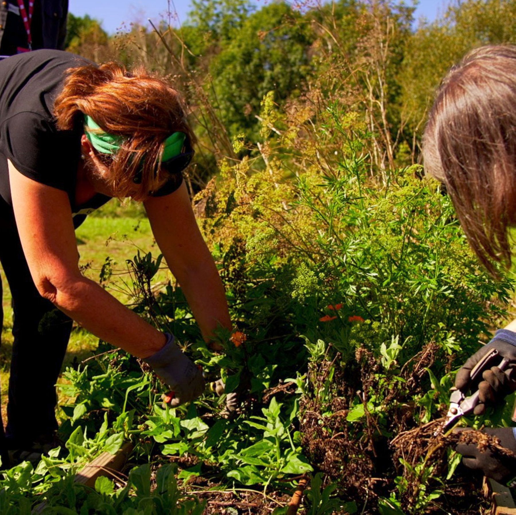 Las jornadas incluyen un taller de agricultura en el bosque.