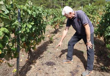  «En el punto óptimo»