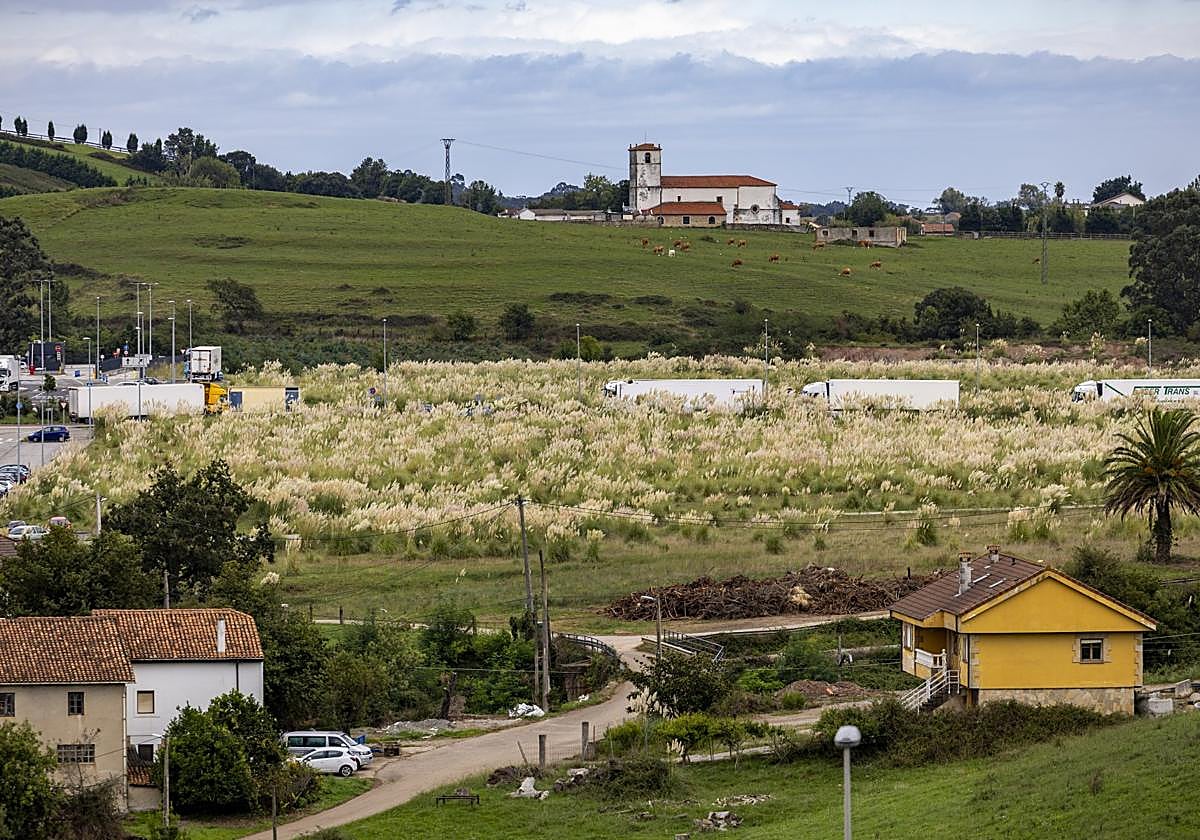 Terrenos del Polígono Marina-Medio Cudeyo donde se está promoviendo la plataforma logística multicliente.