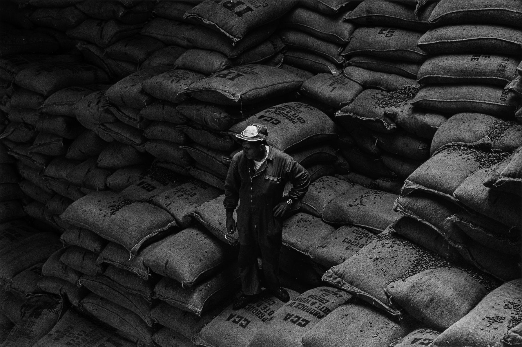 «Los garfios brillan en las manos de los estibadores, el olor a chocolate lo inunda todo»...