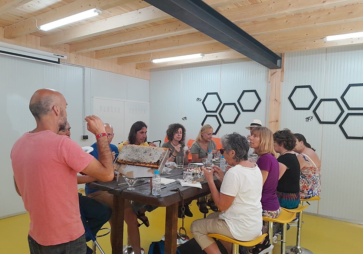 Emprendedores de turismo apicultor se forman en el programa Nansa Emprende.
