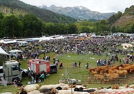 El Prado Socollo registró una extraordinaria animación con la feria de ganado, el mercado de productos tradicionales y el posterior concurso de arrastre.