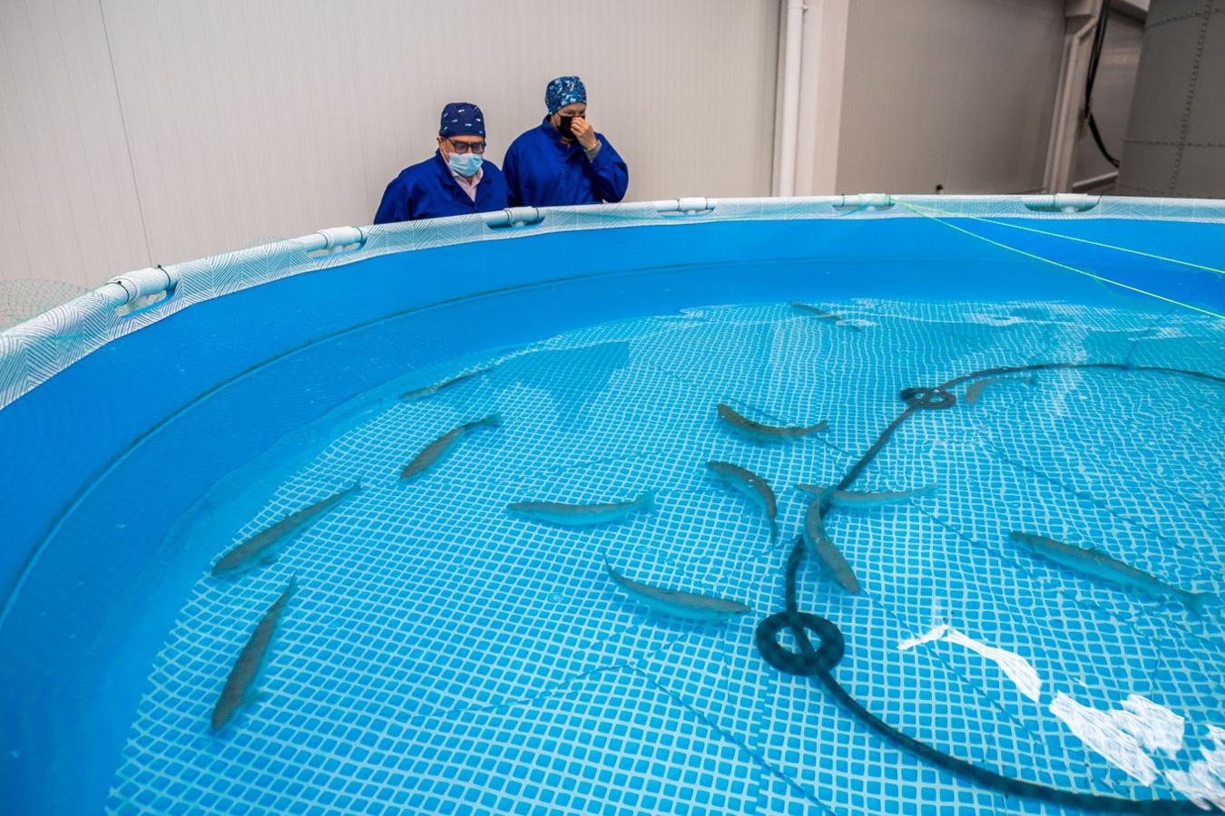 La inversión realizada hasta la fecha supera los diez millones de euros.