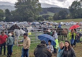 Vecinos visitan la feria ganadera, ayer, en Anero (Ribamontán al Monte).